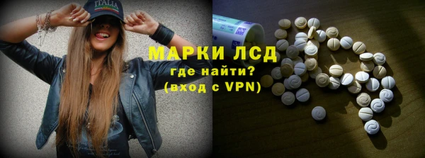 спайс Алзамай