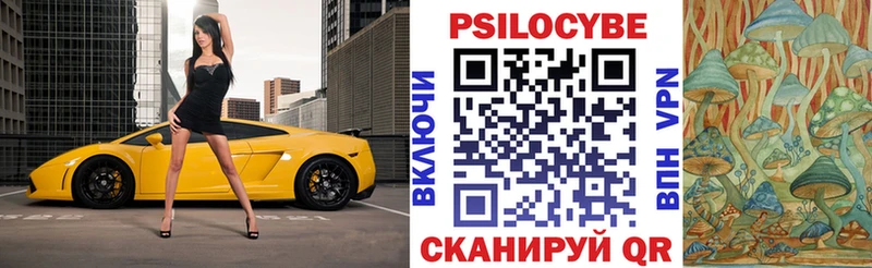 Псилоцибиновые грибы GOLDEN TEACHER  Западная Двина 